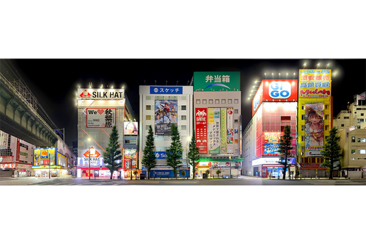 LUNCHBOX Backdrop Akihabra Night Japan